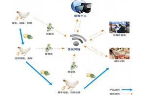 賽億科技 以網絡技術開發為基石，驅動物聯網解決方案創新